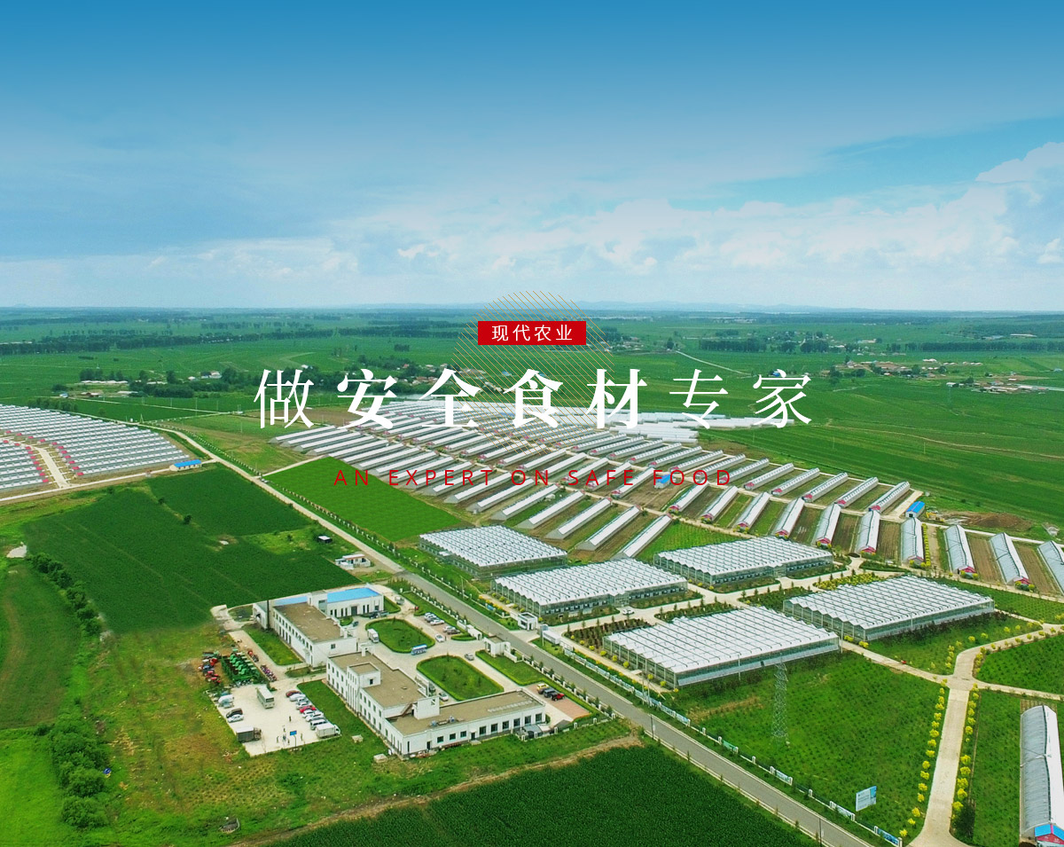 XPJ·(澳门区)公司官方网站